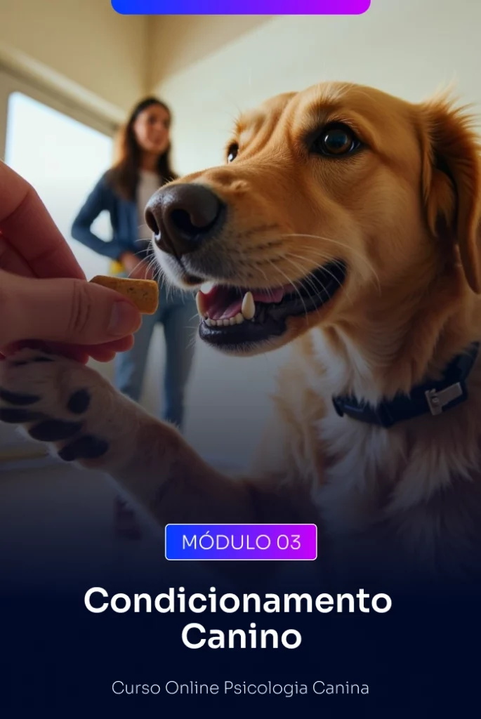 A ciência por trás do bom comportamento.  Domine os princípios do condicionamento clássico e operante, além da cadeia de comportamento. Você aprenderá a moldar atitudes e reforçar bons hábitos de forma ética e eficiente.